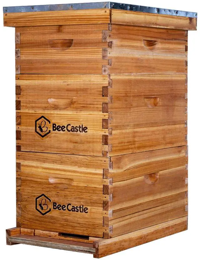 Main image of 8 Frame Langstroth Bee Hive Coated with Beeswax Includes Beehive Frames and Waxed Foundations (2 Deep Boxes & 1 Medium Box)