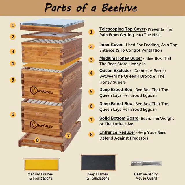 Alt view image 2 of 6 - 8 Frame Langstroth Bee Hive Coated with Beeswax Includes Beehive Frames and Waxed Foundations (2 Deep Boxes & 1 Medium Box)