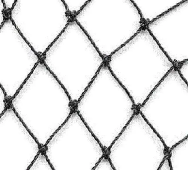 Main image of Aviary Netting Heavy Knotted 2 inch Poultry Net (50 ft x 50 ft)