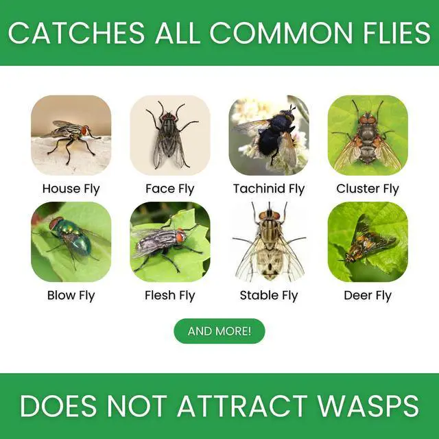 Alt view image 2 of 6 - Fly Trap | Outdoor Device for Catching Flies | 10-Liter Commercial Size (2-Pack) | Comes with Two Flytraps and 4 Bait Packets | 2,000,000 Fly Capacity | Non-Toxic | Child & Pet Safe