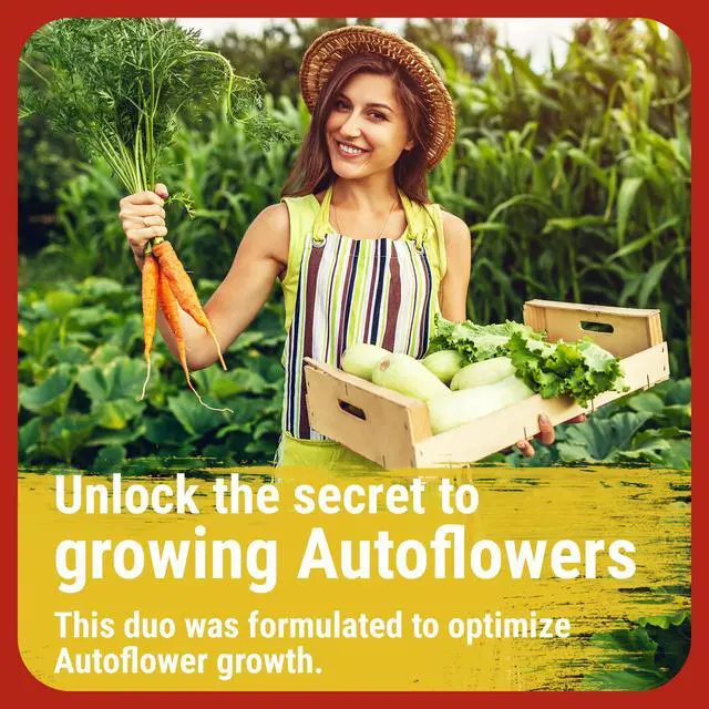 Alt view image 3 of 6 - Cronk Nutrients Bonnie & Clyde Autoflower Nutrients Bloom and Grow Yield Increasing Autoflower Plants Nutrient Kit Easy to Use Plant Food Optimal Formula for Optimal Results, 4L
