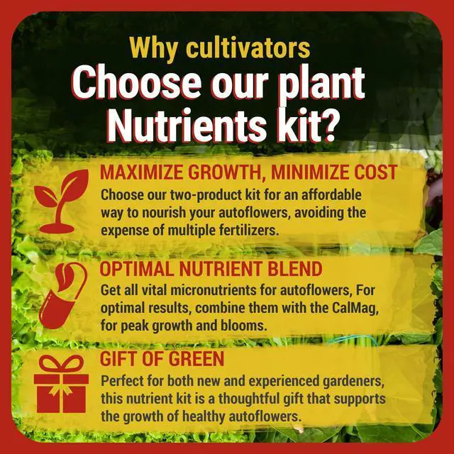 Alt view image 5 of 6 - Cronk Nutrients Bonnie & Clyde Autoflower Nutrients Bloom and Grow Yield Increasing Autoflower Plants Nutrient Kit Easy to Use Plant Food Optimal Formula for Optimal Results, 4L