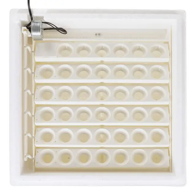 Alt view image 5 of 6 - 4250 Heated Digital Circulated Air Incubator (encubadora para huevos) w/Automatic Egg Turner for Improved Egg Hatching, White (2 Pack)