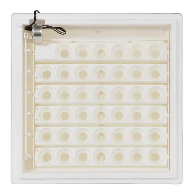 Alt view image 6 of 6 - 4250 Heated Digital Circulated Air Incubator (encubadora para huevos) w/Automatic Egg Turner for Improved Egg Hatching, White (2 Pack)