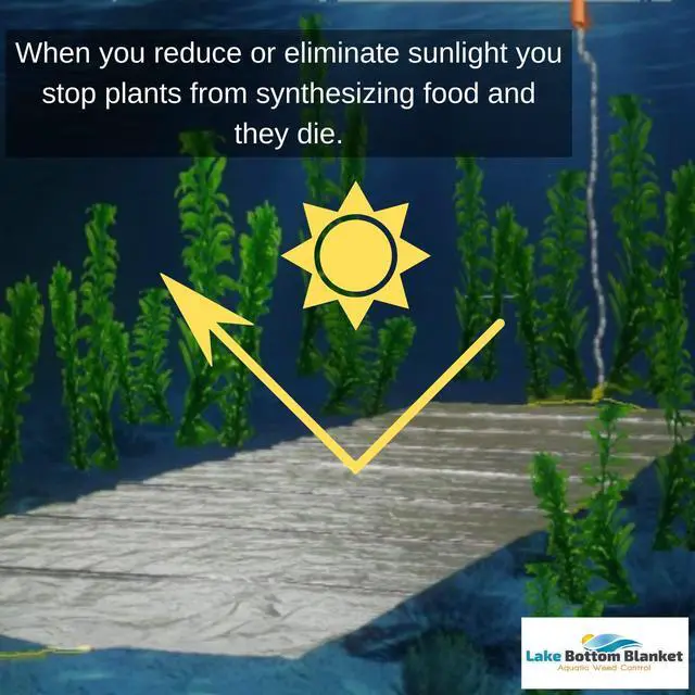 Alt view image 4 of 6 - Aquatic Weed Control | Chemical-Free Vegetation Inhibitor for Lakes & Ponds | Benthic Barrier | Instant Weed Free Swimming (10.75 feet x 30 feet)