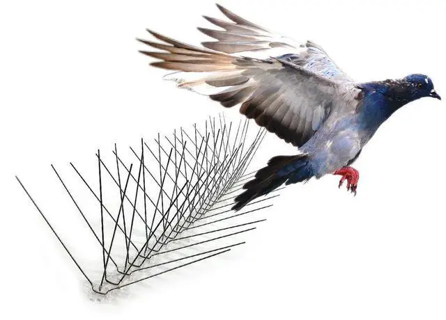 Main image of Stainless Steel Bird Spikes, 8-inch Extra-Wide Spikes, Bird Spikes for Pigeons and Other Small Birds, Easy to Install, Contains 2 ft. Strips, Covers 50 Linear Feet Area, EWS-50