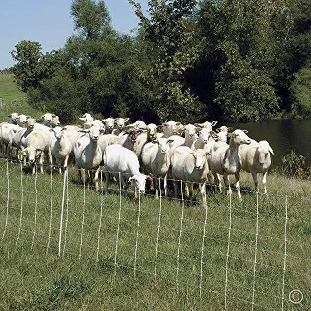 Alt view image 2 of 6 - Premier 1 ElectroNet® 35"H x 164'L Portable Electric Fence with Built-in Single Spike Posts | White/Black Fence for Sheep & Goats