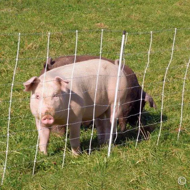 Alt view image 4 of 6 - Premier 1 ElectroNet® 35"H x 164'L Portable Electric Fence with Built-in Single Spike Posts | White/Black Fence for Sheep & Goats