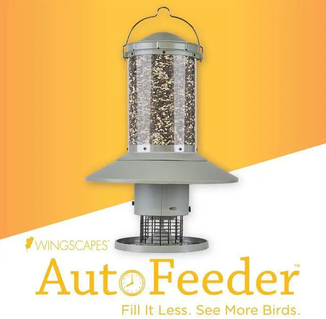 Alt view image 2 of 6 - AUTOFEEDER Bird Feeder, Programmable, Automatic Time Released, Battery-Powered, Removable Lid, Squirrel Proof, Weather Resistant, 360 Degree Perch, Large Capacity - Classic Green