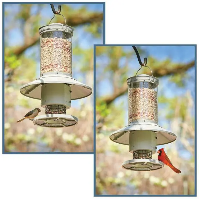Alt view image 5 of 6 - AUTOFEEDER Bird Feeder, Programmable, Automatic Time Released, Battery-Powered, Removable Lid, Squirrel Proof, Weather Resistant, 360 Degree Perch, Large Capacity - Classic Green