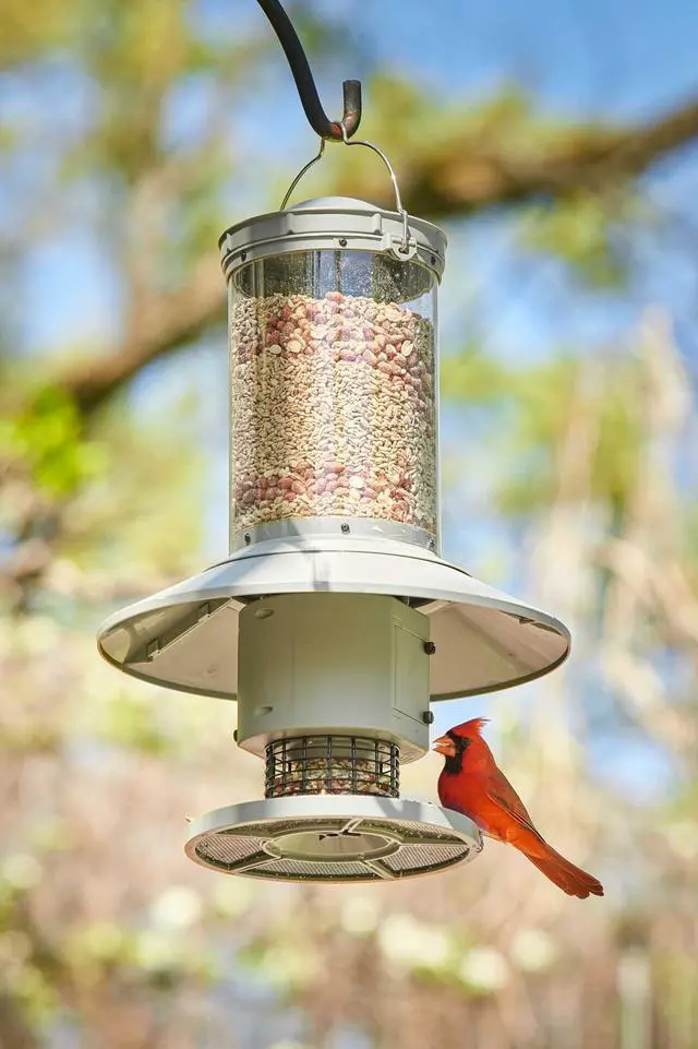 Alt view image 6 of 6 - AUTOFEEDER Bird Feeder, Programmable, Automatic Time Released, Battery-Powered, Removable Lid, Squirrel Proof, Weather Resistant, 360 Degree Perch, Large Capacity - Classic Green