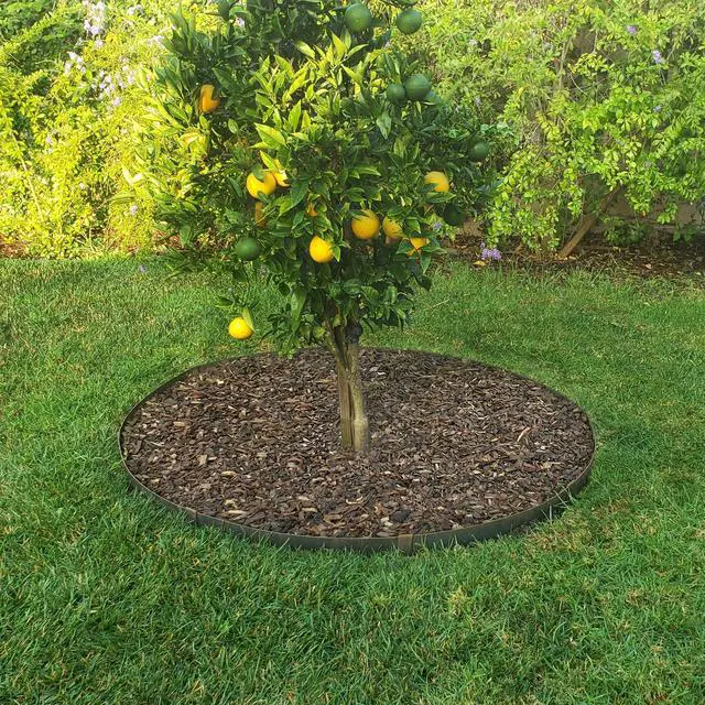 Alt view image 4 of 6 - Circular Tree Ring Edging Kit - COR-Ten Steel - Landscape Edging