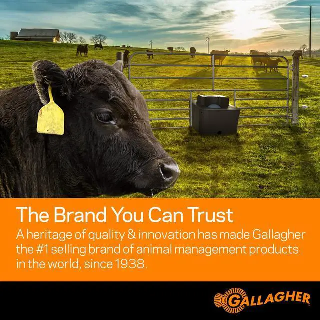 Alt view image 6 of 6 - M360 Electric Fence Charger | 3.6 Joules for Livestock, Pastures & Perimeter Control | Powers Up to 55 Miles of Fence or 250 Acres | 110V AC Powered Energizer with Lightning Protection