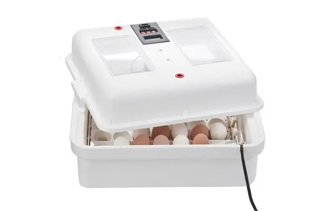 Alt view image 3 of 6 - ® Digital Circulated Air Incubator with Automatic Turner | 41 Egg Capacity | Chick Egg Hatching Incubator with Fan and Egg Turner | Made in USA