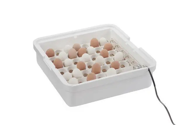 Alt view image 5 of 6 - ® Digital Circulated Air Incubator with Automatic Turner | 41 Egg Capacity | Chick Egg Hatching Incubator with Fan and Egg Turner | Made in USA