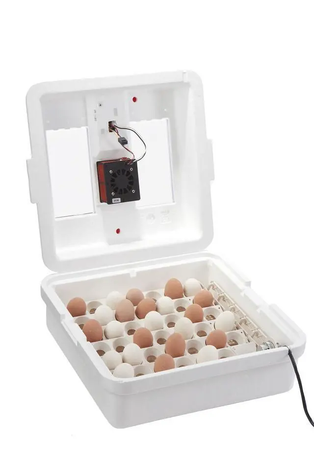 Alt view image 6 of 6 - ® Digital Circulated Air Incubator with Automatic Turner | 41 Egg Capacity | Chick Egg Hatching Incubator with Fan and Egg Turner | Made in USA