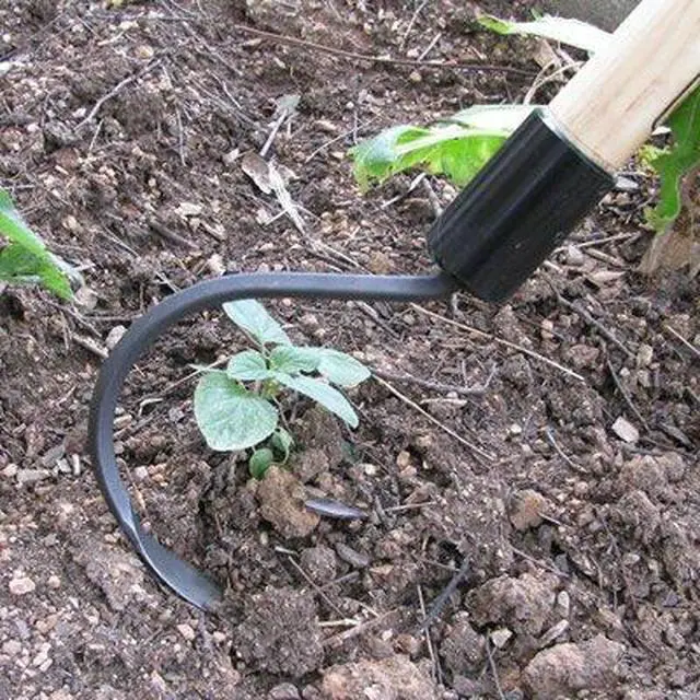 Alt view image 3 of 3 - ® Long Handle Weeder & Cultivator Garden Tool - Forged Steel Blade - Natural 54-Inch Hardwood Handle - Ergonomically Designed for Digging, Edging & Planting - Perfect for Big Gardening Jobs