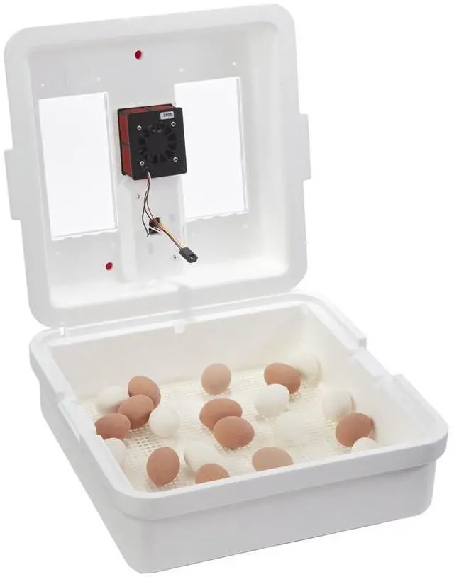 Main image of ® UL Circulated Air Incubator | Fits 41 Large Eggs | Chick Egg Hatching Incubator with Fan and Temperature and Humidity Control | Made in USA