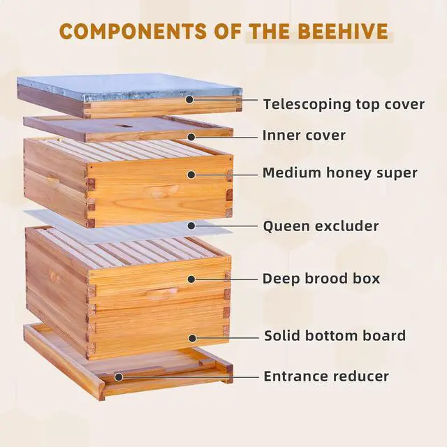 Alt view image 2 of 6 - 10 Frame Bee Hive,Beeswax Coated Beehive Kit for Bee Keeper,Complete Beehive Include 1 Deep Brood Bee Box and 1 Medium Bee Hive Box with Frames and Foundations