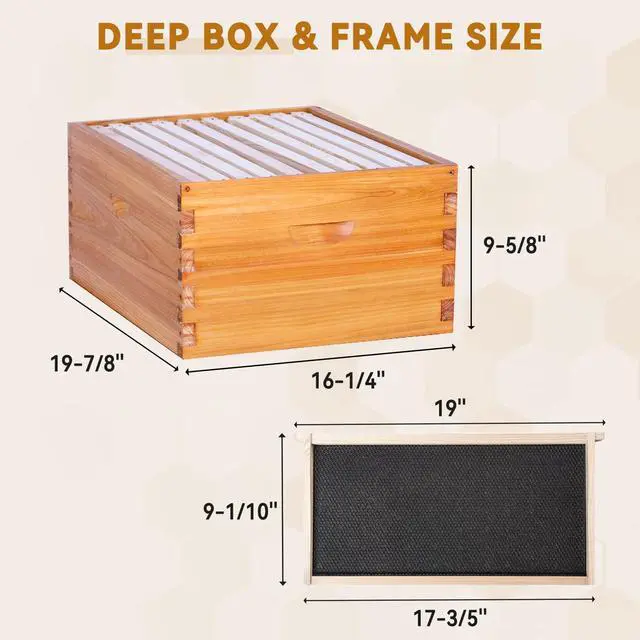 Alt view image 5 of 6 - 10 Frame Bee Hive,Beeswax Coated Beehive Kit for Bee Keeper,Complete Beehive Include 1 Deep Brood Bee Box and 1 Medium Bee Hive Box with Frames and Foundations