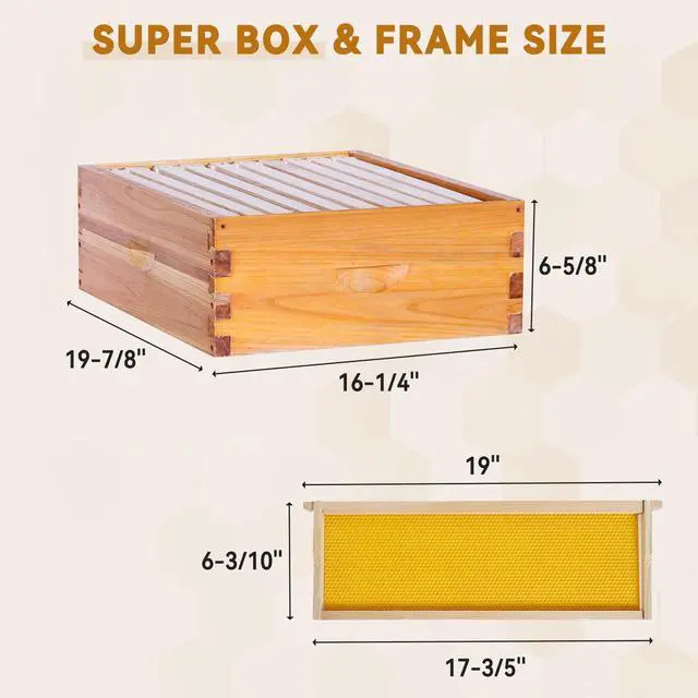 Alt view image 6 of 6 - 10 Frame Bee Hive,Beeswax Coated Beehive Kit for Bee Keeper,Complete Beehive Include 1 Deep Brood Bee Box and 1 Medium Bee Hive Box with Frames and Foundations