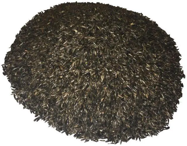 Alt view image 2 of 4 - Wagner's 62052 Nyjer Seed Wild Bird Food, 50-Pound Bag