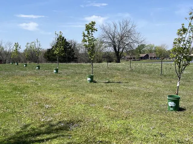 Alt view image 4 of 6 - Tree I-V 6-Pack Original Base Root Feeder Watering System | Durable Self-Supported, 5-Gal Reservoir, No-Hands Filling, Water 6 Trees in 6 Minutes