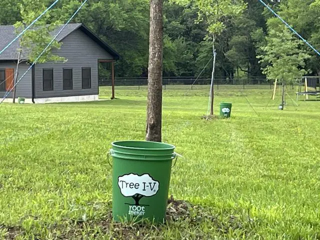 Alt view image 5 of 6 - Tree I-V 6-Pack Original Base Root Feeder Watering System | Durable Self-Supported, 5-Gal Reservoir, No-Hands Filling, Water 6 Trees in 6 Minutes