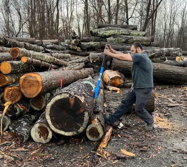 Alt view image 4 of 4 - 60 Cant Hook | Logging Tool Grips 10-36 Diameter Logs | Durable Log Tool Made of Aluminum | Made in the USA