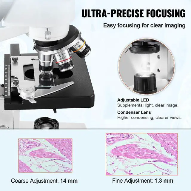 Alt view image 3 of 4 - Compound Trinocular Microscope, 40X-5000X Magnification Trinocular Compound Lab Microscope with Two-Layer Mechanical Stage, LED Illumination, External Interface and Microscope Slides Included