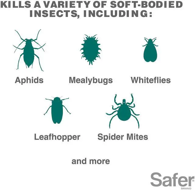 Alt view image 2 of 6 - 5118-6 Insect Killing Soap Concentrate - Insecticidal Soap for Plants - Kills Aphids, Whiteflies, Thrips, Spider Mites, and More - OMRI Listed for Organic Use - 6 Pack