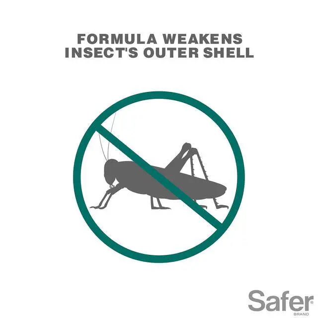 Alt view image 3 of 6 - 5118-6 Insect Killing Soap Concentrate - Insecticidal Soap for Plants - Kills Aphids, Whiteflies, Thrips, Spider Mites, and More - OMRI Listed for Organic Use - 6 Pack