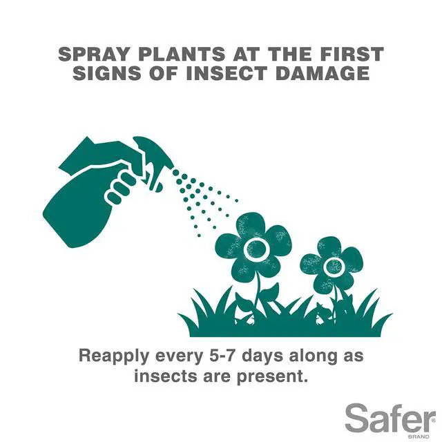 Alt view image 4 of 6 - 5118-6 Insect Killing Soap Concentrate - Insecticidal Soap for Plants - Kills Aphids, Whiteflies, Thrips, Spider Mites, and More - OMRI Listed for Organic Use - 6 Pack