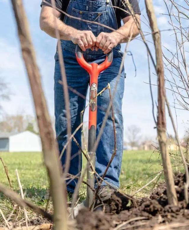 Alt view image 5 of 6 - 22011 Garden Shovel with Serrated Blade for Digging and Root Cutting, Heavy Duty Steel Spade, Red