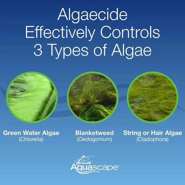 Alt view image 3 of 6 - 96026 Algaecide for Pond, Waterfall, and Water Features, 1-Gallon