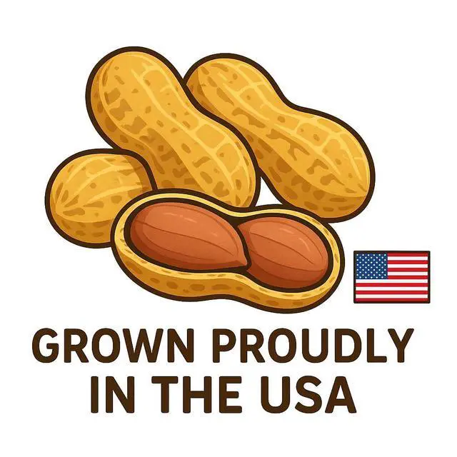 Alt view image 4 of 6 - Crazy Nuts | USA Grown Whole In Shell Raw Peanuts for Birds and Squirrels, 25lb | Jumbo Whole In Shell Peanuts for Birds and for Eating
