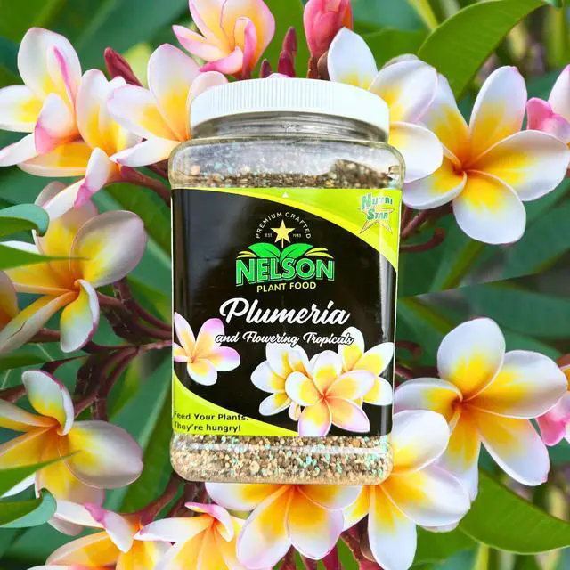 Alt view image 2 of 6 - Nelson Plumeria Plant and All Flowering Tropicals Food Ferns Orchids Lilys In Ground Container Patio Grown Granular Fertilizer NutriStar 5-30-5 (25 LB)