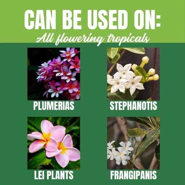 Alt view image 3 of 6 - Nelson Plumeria Plant and All Flowering Tropicals Food Ferns Orchids Lilys In Ground Container Patio Grown Granular Fertilizer NutriStar 5-30-5 (25 LB)