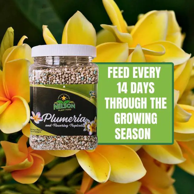 Alt view image 5 of 6 - Nelson Plumeria Plant and All Flowering Tropicals Food Ferns Orchids Lilys In Ground Container Patio Grown Granular Fertilizer NutriStar 5-30-5 (25 LB)