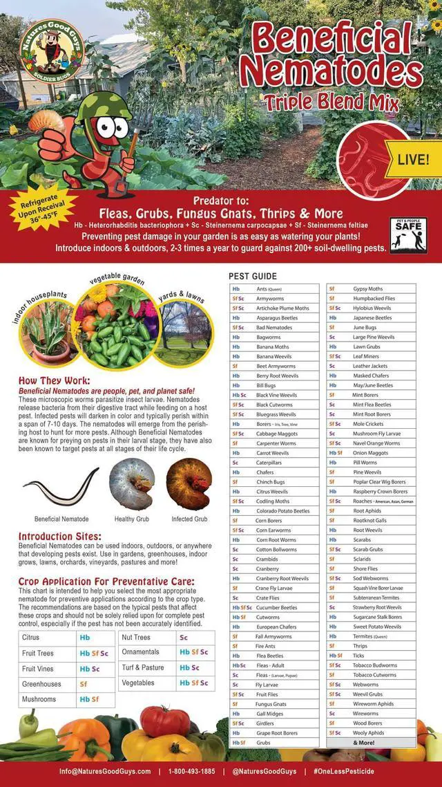 Alt view image 3 of 6 - Beneficial Nematodes Triple Blend Pack HB+SC+SF - General Biological Pest Control (25 Million)