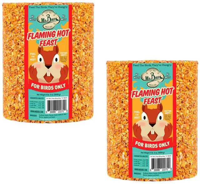 Main image of 2-Pack of Flaming Hot Feast Large Wild Bird Seed Cylinder 4 lbs. 3 oz