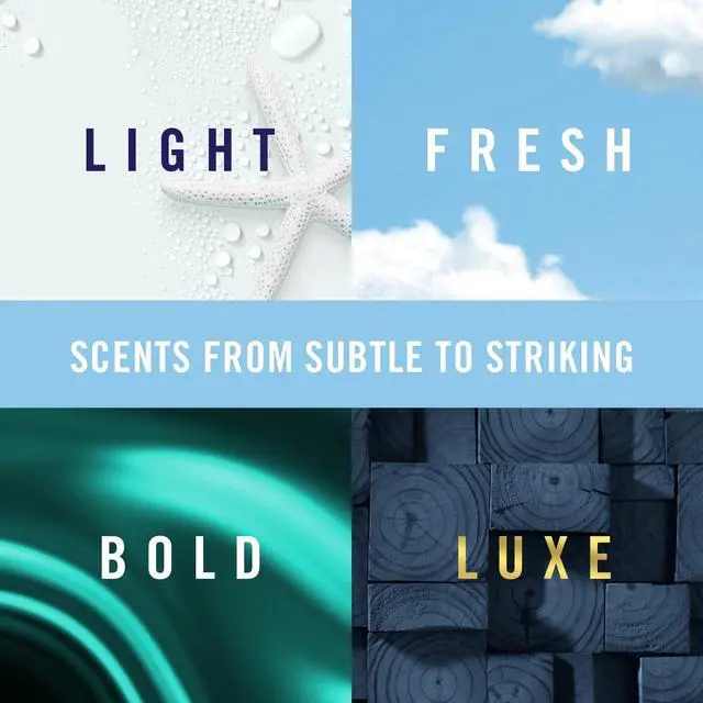 Alt view image 7 of 7 - Vent Clip Car Air Freshener, Odor Eliminator, Auto Noir Scent, 4 Clips (2 Packs)