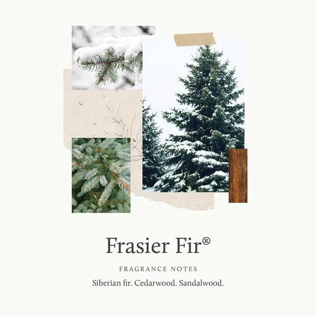 Alt view image 3 of 5 - Frasier Fir Car Diffuser Kit + Refills Vent Clip Air Freshener + 4 Frasier Fir Diffuser Reeds Car Air Fresheners with Fresh Scent Long-Lasting Fragrance