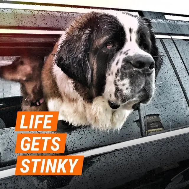 Alt view image 2 of 7 - Fresh Fx Odor Eliminator Car Fogger (3 Count), Car Air Freshener, New Car Scent