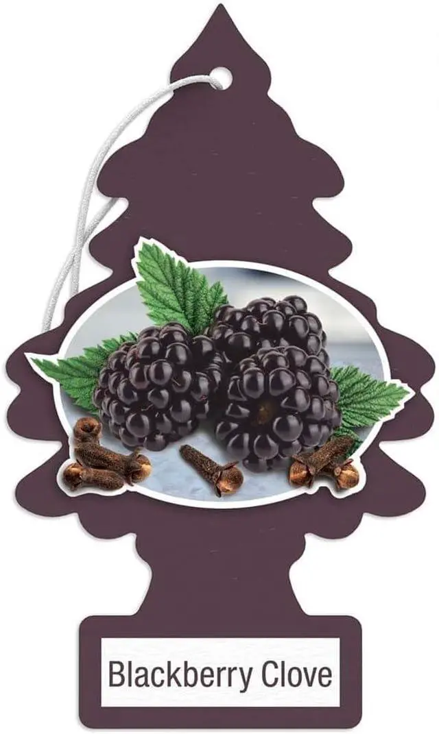 Alt view image 2 of 6 - Blackberry Clove Air Fresheners 12 Pack