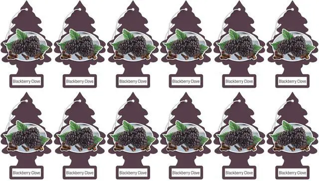 Main image of Blackberry Clove Air Fresheners 12 Pack