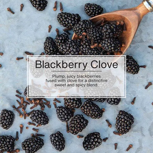 Alt view image 4 of 6 - Blackberry Clove Air Fresheners 12 Pack