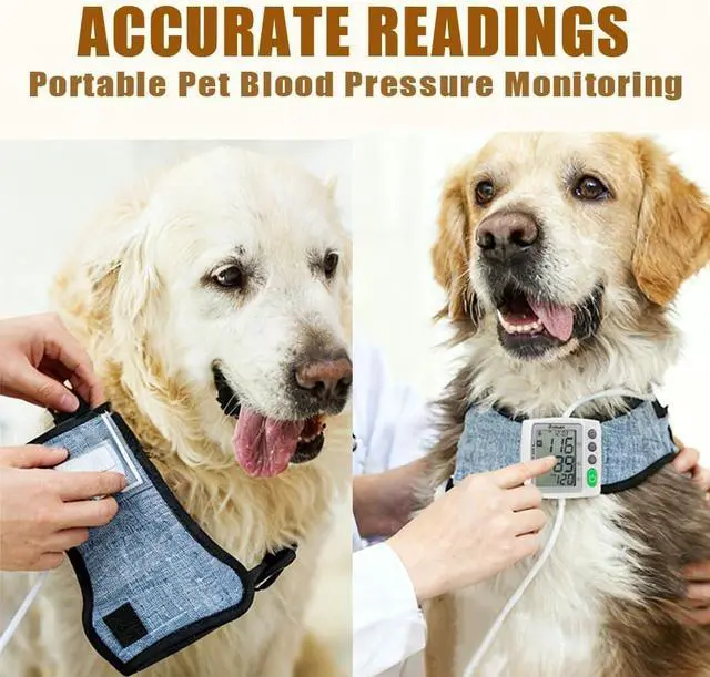 Alt view image 3 of 6 - Wearable Pet Blood Pressure Monitor for Cats & Dogs, Automatic Oscillometric Veterinary BP & Heart Rate Monitor, 3 Adjustable Cuffs 4.215cm, Dual-User 120 Memory, Portable Home & Vet Clinic Use