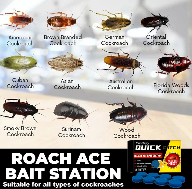 Alt view image 3 of 7 - Cockroach Bait Station 8 Traps + 8 Adhesive Strips, Indoor Roach Killer for Kitchen & Home, Long-Lasting Pest Control
