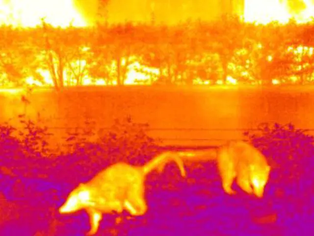 Alt view image 7 of 7 - UNI-T UTx210W Compact Economy Thermal Monocular 256x192 IR with Wi-Fi